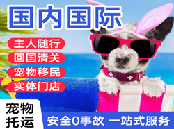 揭阳潮汕航空快递国际宠物托运 【国